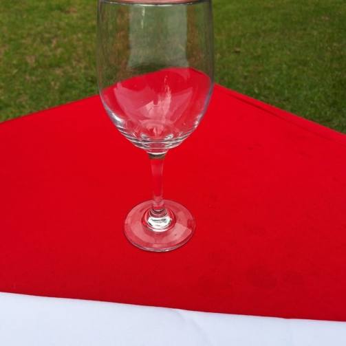 Red Wine Glass
